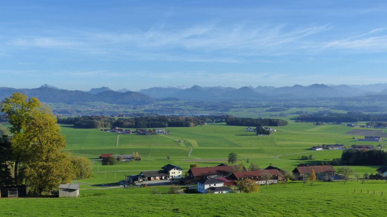 Ferienwohnung Steger Mattsee Bagian luar foto