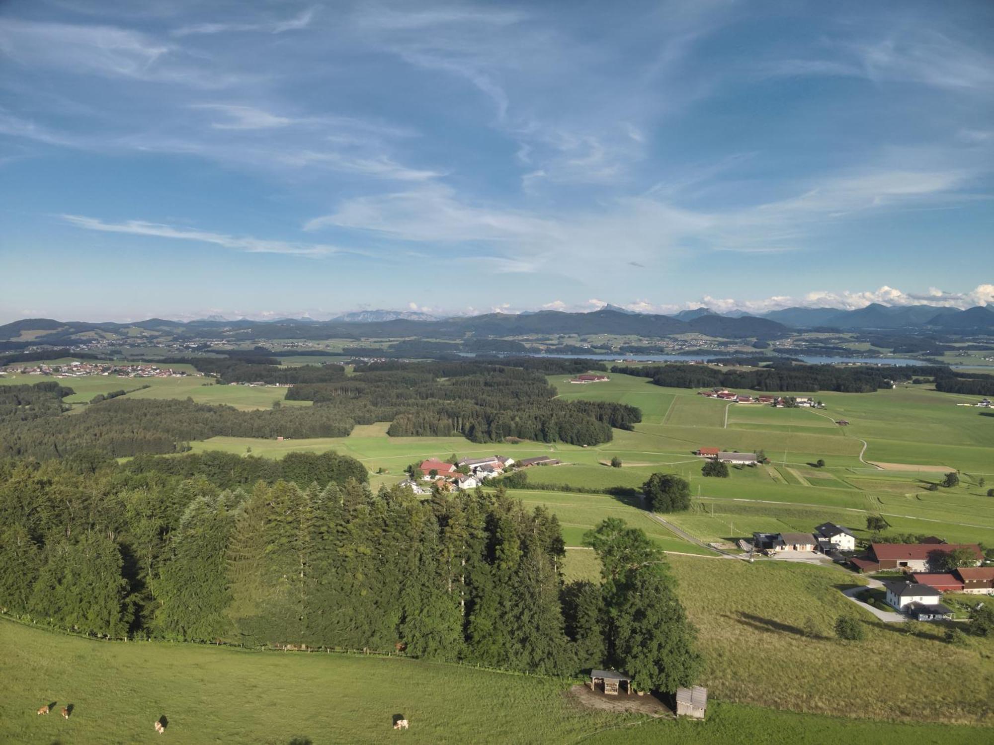 Ferienwohnung Steger Mattsee Bagian luar foto